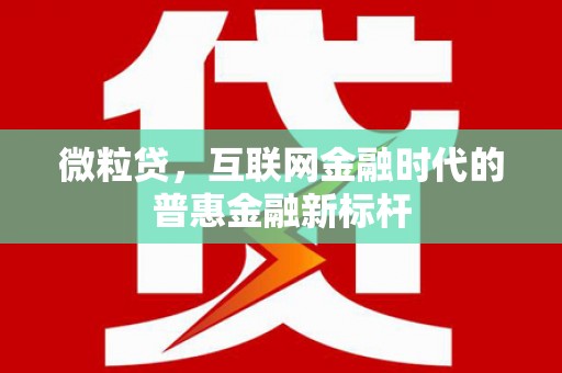 丰县微粒贷，互联网金融时代的普惠金融新标杆