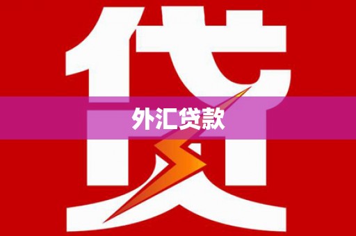 丰县外汇贷款