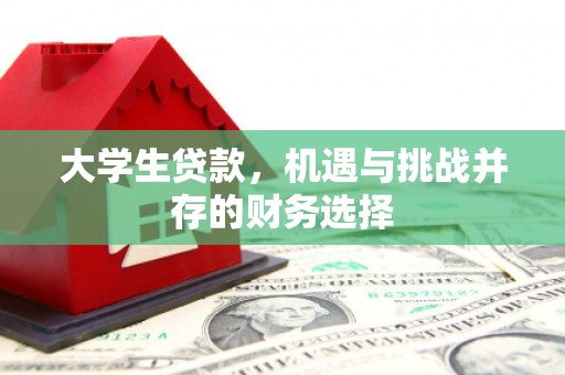 丰县大学生贷款，机遇与挑战并存的财务选择