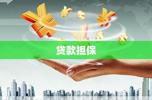 丰县贷款担保