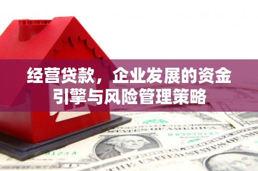 丰县经营贷款，企业发展的资金引擎与风险管理策略