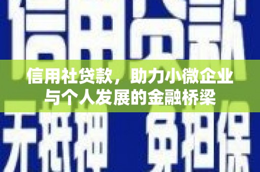 丰县信用社贷款，助力小微企业与个人发展的金融桥梁