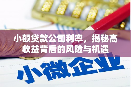 丰县小额贷款公司利率，揭秘高收益背后的风险与机遇