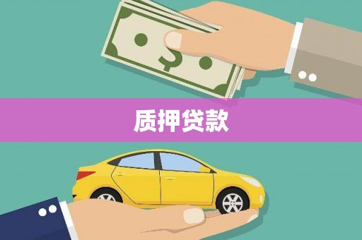 丰县质押贷款