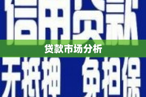 丰县贷款市场分析