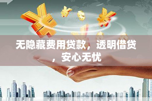 丰县无隐藏费用贷款，透明借贷，安心无忧