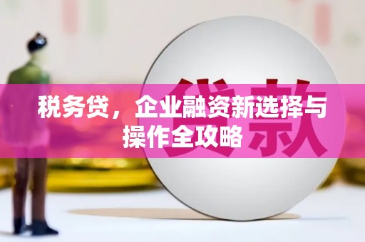 丰县税务贷，企业融资新选择与操作全攻略