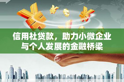 丰县信用社贷款，助力小微企业与个人发展的金融桥梁