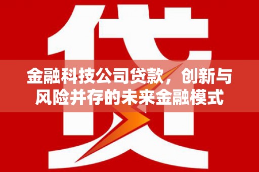 丰县金融科技公司贷款，创新与风险并存的未来金融模式