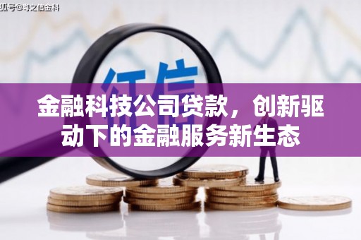 丰县金融科技公司贷款，创新驱动下的金融服务新生态