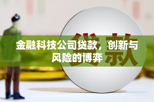 丰县金融科技公司贷款，创新与风险的博弈