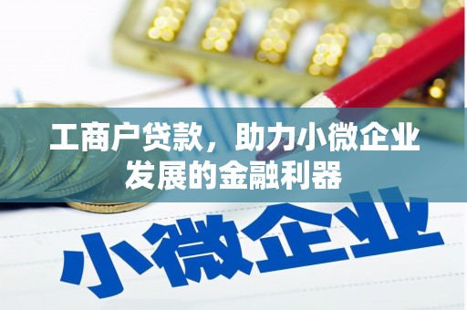 丰县工商户贷款，助力小微企业发展的金融利器