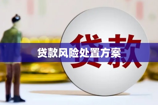 丰县贷款风险处置方案