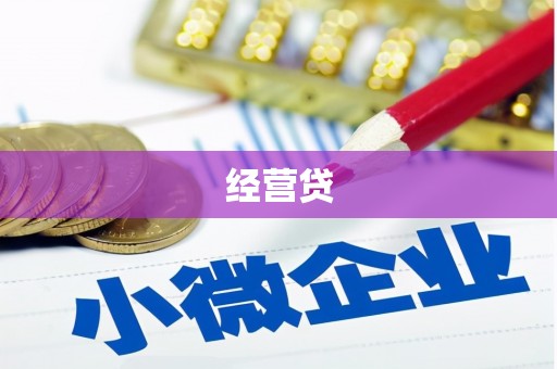丰县经营贷