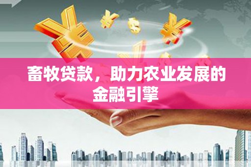 丰县畜牧贷款，助力农业发展的金融引擎