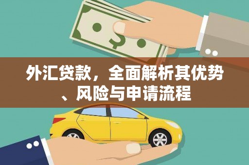 丰县外汇贷款，全面解析其优势、风险与申请流程