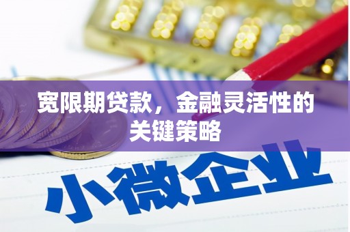 丰县宽限期贷款，金融灵活性的关键策略