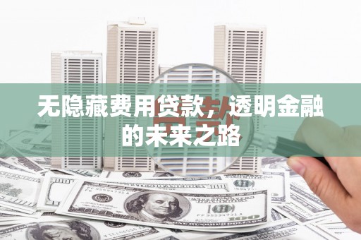 丰县无隐藏费用贷款，透明金融的未来之路