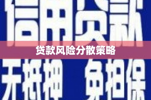 丰县贷款风险分散策略