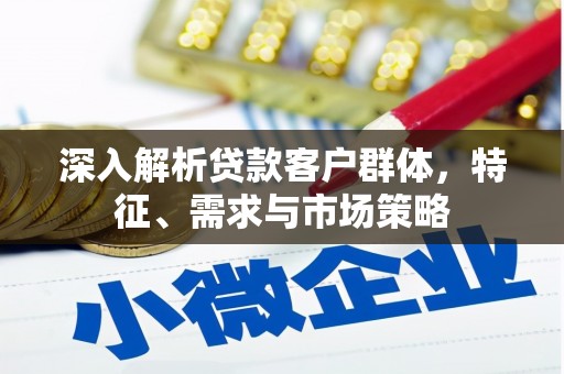 丰县深入解析贷款客户群体，特征、需求与市场策略
