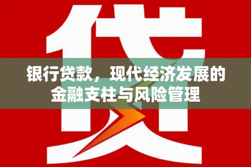 丰县银行贷款，现代经济发展的金融支柱与风险管理