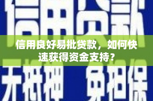 丰县信用良好易批贷款，如何快速获得资金支持？