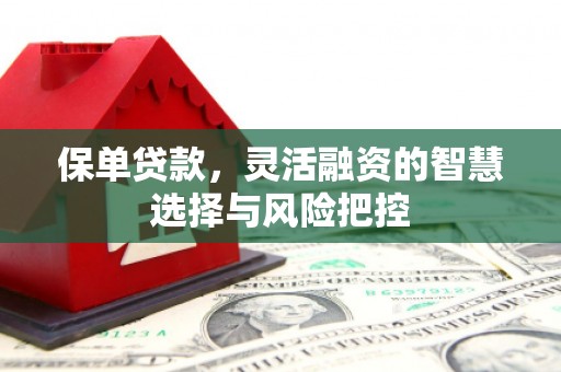 丰县保单贷款，灵活融资的智慧选择与风险把控