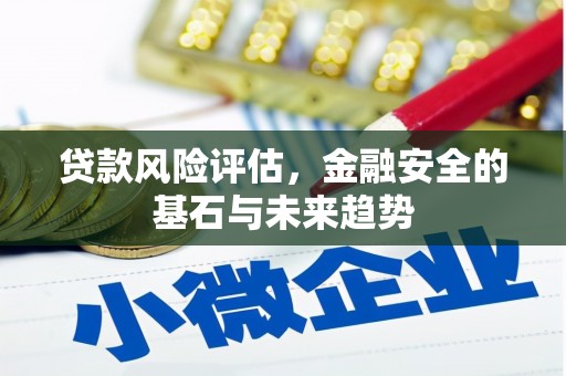 丰县贷款风险评估，金融安全的基石与未来趋势