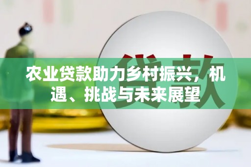 丰县农业贷款助力乡村振兴，机遇、挑战与未来展望