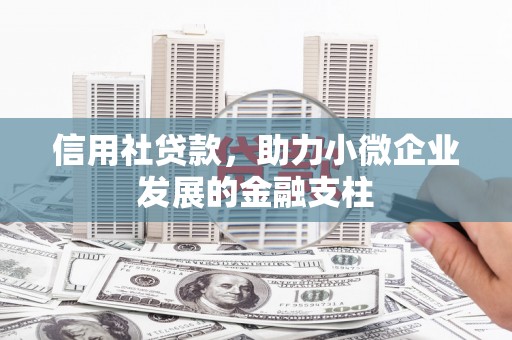 丰县信用社贷款，助力小微企业发展的金融支柱