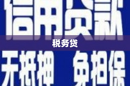 丰县税务贷
