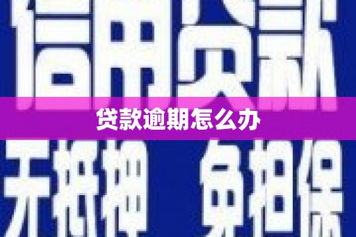 丰县贷款逾期怎么办