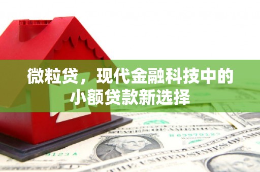 丰县微粒贷，现代金融科技中的小额贷款新选择