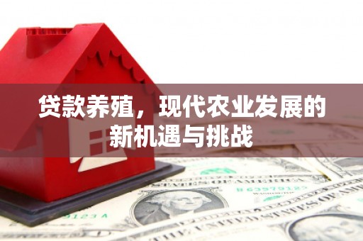 丰县贷款养殖，现代农业发展的新机遇与挑战