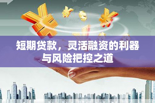 丰县短期贷款，灵活融资的利器与风险把控之道