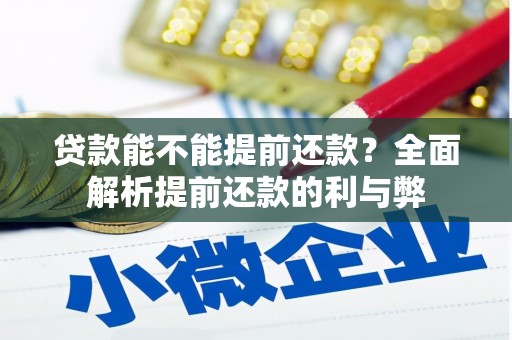 丰县贷款能不能提前还款？全面解析提前还款的利与弊