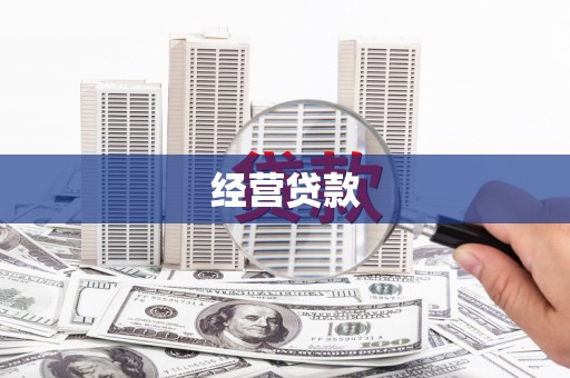 丰县经营贷款