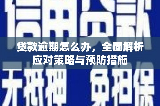 丰县贷款逾期怎么办，全面解析应对策略与预防措施