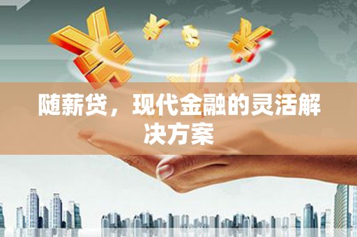 丰县随薪贷，现代金融的灵活解决方案