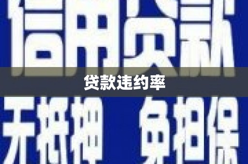 丰县贷款违约率