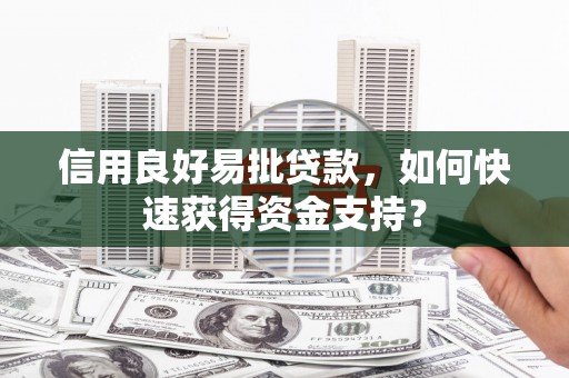 丰县信用良好易批贷款，如何快速获得资金支持？