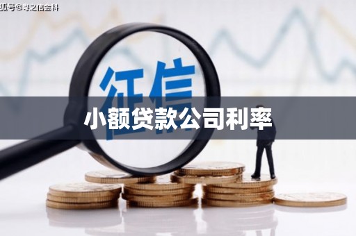 丰县小额贷款公司利率