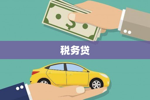 丰县税务贷