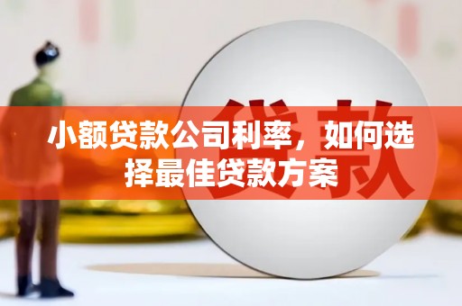丰县小额贷款公司利率，如何选择最佳贷款方案