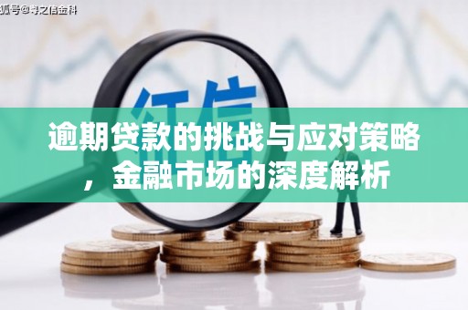 丰县逾期贷款的挑战与应对策略，金融市场的深度解析