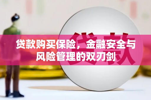 丰县贷款购买保险，金融安全与风险管理的双刃剑