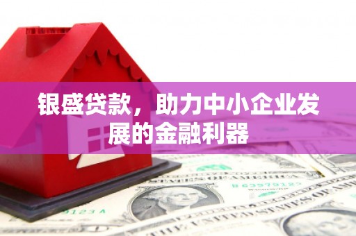 丰县银盛贷款，助力中小企业发展的金融利器