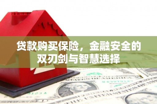 丰县贷款购买保险，金融安全的双刃剑与智慧选择