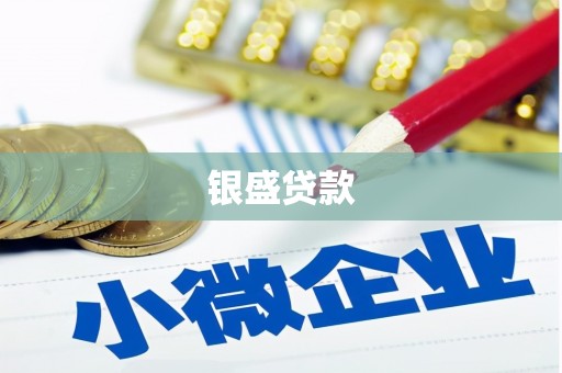 丰县银盛贷款