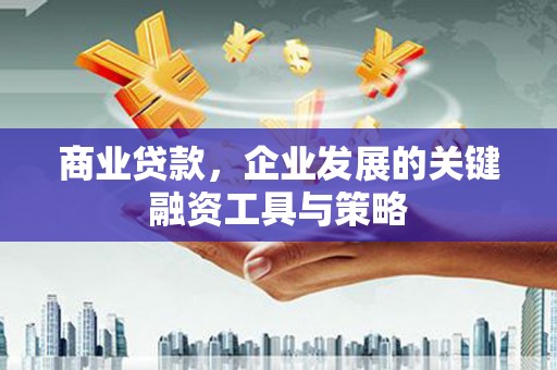 丰县商业贷款，企业发展的关键融资工具与策略